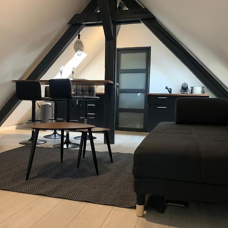 Cocoon Loft Διαμέρισμα Κολμάρ Εξωτερικό φωτογραφία