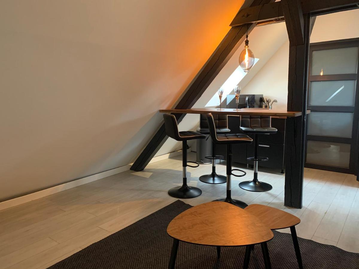 Cocoon Loft Διαμέρισμα Κολμάρ Εξωτερικό φωτογραφία