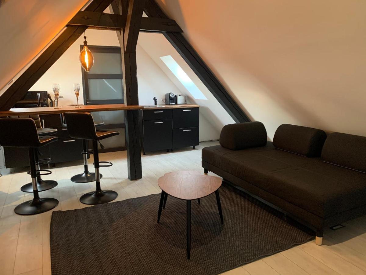Cocoon Loft Διαμέρισμα Κολμάρ Εξωτερικό φωτογραφία