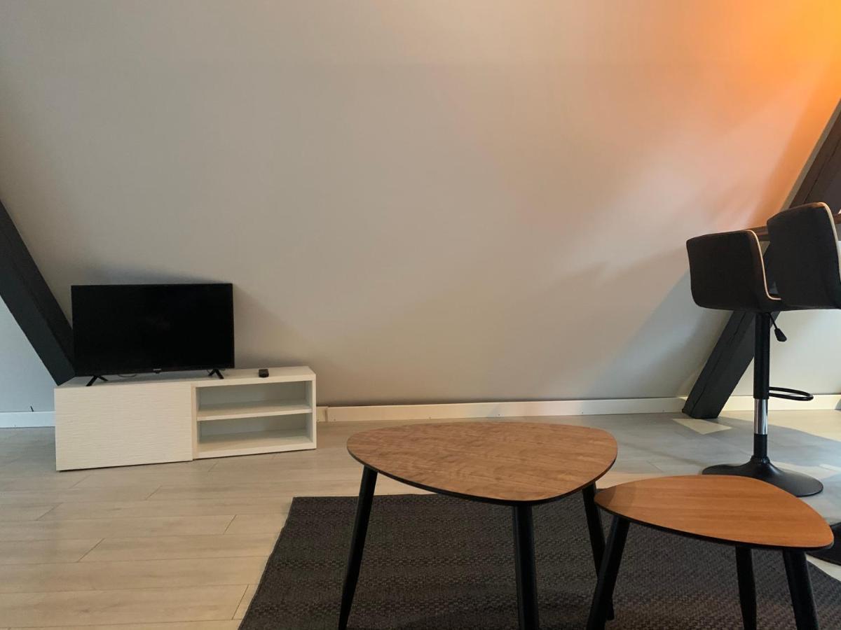 Cocoon Loft Διαμέρισμα Κολμάρ Εξωτερικό φωτογραφία