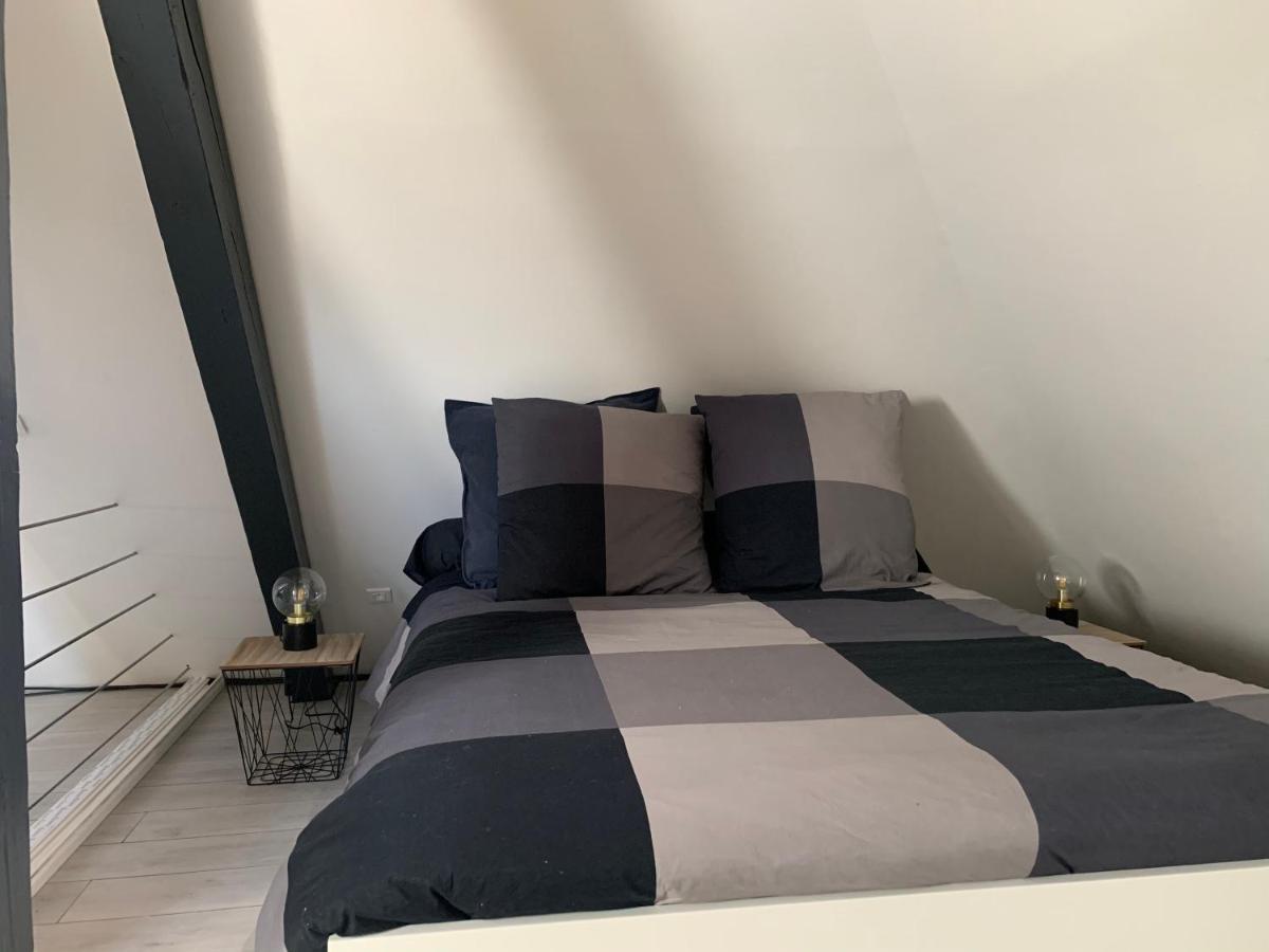 Cocoon Loft Διαμέρισμα Κολμάρ Εξωτερικό φωτογραφία