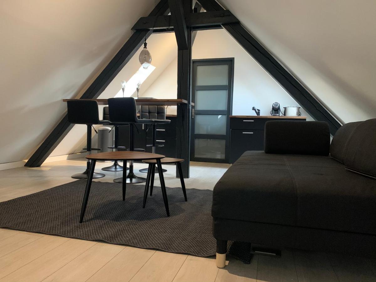 Cocoon Loft Διαμέρισμα Κολμάρ Εξωτερικό φωτογραφία
