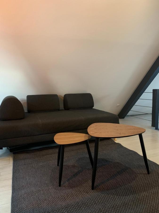 Cocoon Loft Διαμέρισμα Κολμάρ Εξωτερικό φωτογραφία
