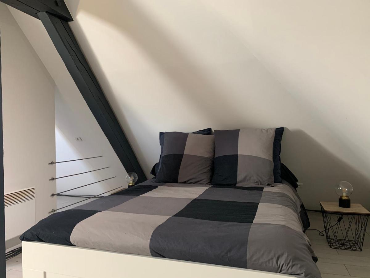 Cocoon Loft Διαμέρισμα Κολμάρ Εξωτερικό φωτογραφία